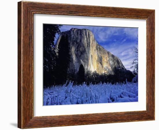 El Capitan, Yosemite National Park, California, USA-Scott Smith-Framed Photographic Print