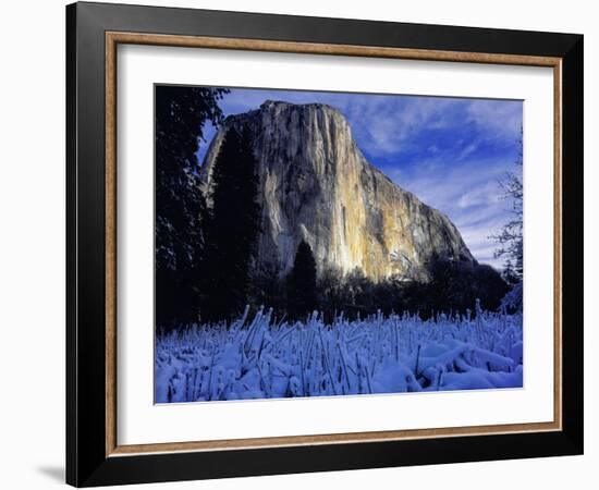 El Capitan, Yosemite National Park, California, USA-Scott Smith-Framed Photographic Print