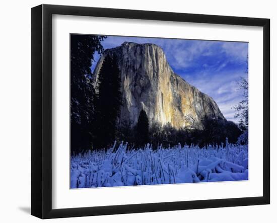 El Capitan, Yosemite National Park, California, USA-Scott Smith-Framed Photographic Print