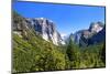 El Capitan - Yosemite National Park - Californie - United States-Philippe Hugonnard-Mounted Photographic Print