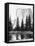 El Capitan, Yosemite Valley, California, USA, 1893-John L Stoddard-Framed Premier Image Canvas