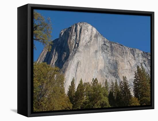 El Capitan-Paul Sakuma-Framed Premier Image Canvas