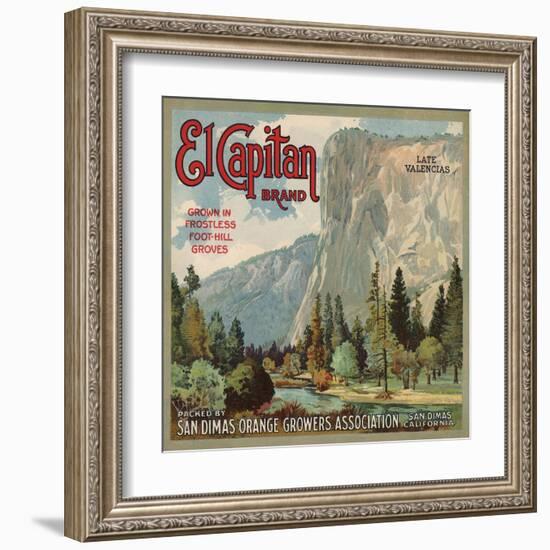 El Captain Brand - San Dimas, California - Citrus Crate Label-Lantern Press-Framed Art Print