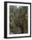 El Chorro Gorge and the Old Catwalk, Malaga Province, Andalucia, Spain, Europe-Maxwell Duncan-Framed Photographic Print