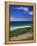 El Dorado Golf Course, Cabo San Lucas, Mexico-Walter Bibikow-Framed Premier Image Canvas