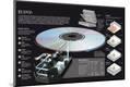 Premium Photographic Print