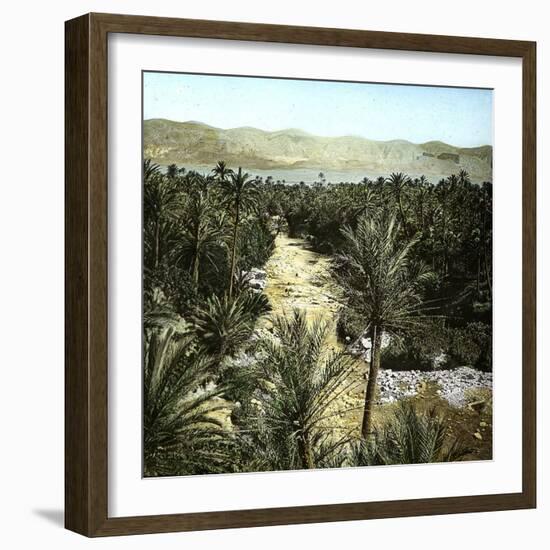 El-Kantara (Algeria), View of the Oasis-Leon, Levy et Fils-Framed Photographic Print