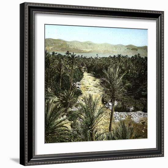 El-Kantara (Algeria), View of the Oasis-Leon, Levy et Fils-Framed Photographic Print