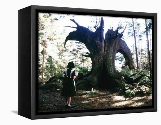 El laberinto del fauno-null-Framed Stretched Canvas