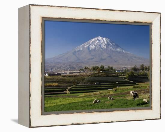 El Misti Volcano and Arequipa Town, Peru-Michele Falzone-Framed Premier Image Canvas