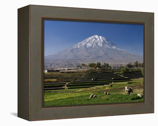 El Misti Volcano and Arequipa Town, Peru-Michele Falzone-Framed Premier Image Canvas