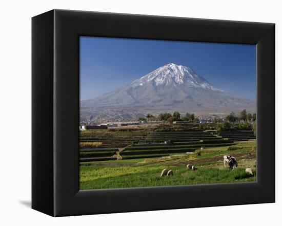 El Misti Volcano and Arequipa Town, Peru-Michele Falzone-Framed Premier Image Canvas