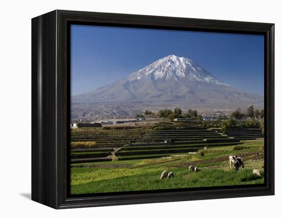 El Misti Volcano and Arequipa Town, Peru-Michele Falzone-Framed Premier Image Canvas