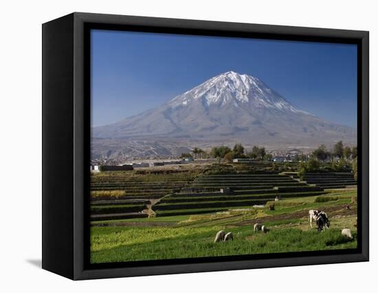 El Misti Volcano and Arequipa Town, Peru-Michele Falzone-Framed Premier Image Canvas