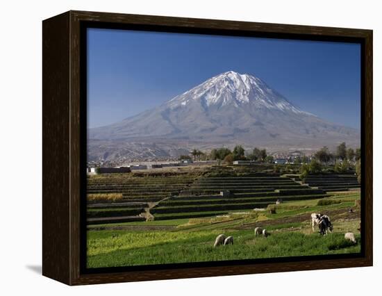 El Misti Volcano and Arequipa Town, Peru-Michele Falzone-Framed Premier Image Canvas