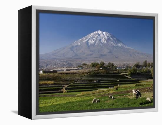 El Misti Volcano and Arequipa Town, Peru-Michele Falzone-Framed Premier Image Canvas