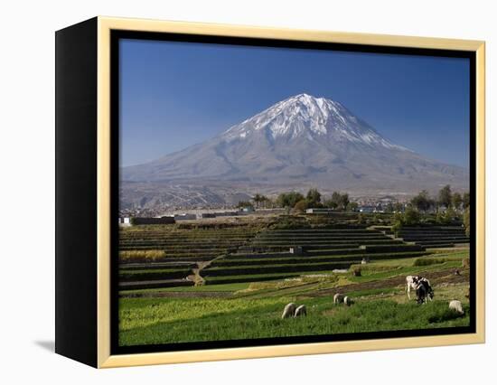 El Misti Volcano and Arequipa Town, Peru-Michele Falzone-Framed Premier Image Canvas