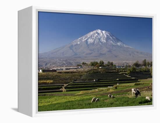 El Misti Volcano and Arequipa Town, Peru-Michele Falzone-Framed Premier Image Canvas