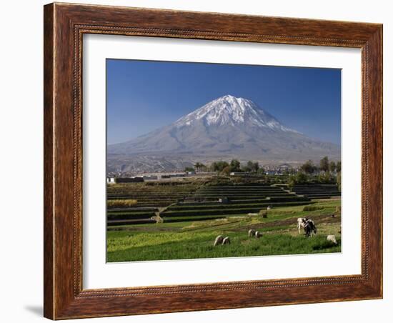 El Misti Volcano and Arequipa Town, Peru-Michele Falzone-Framed Photographic Print