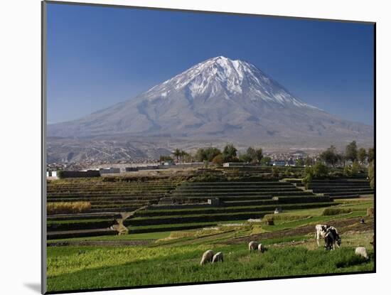 El Misti Volcano and Arequipa Town, Peru-Michele Falzone-Mounted Photographic Print