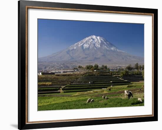 El Misti Volcano and Arequipa Town, Peru-Michele Falzone-Framed Photographic Print