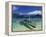 El Nido, Palawan Island, Philippines-Peter Adams-Framed Premier Image Canvas