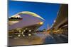 El Palau De Les Arts Reina Sofia (Opera House and Performing Arts Centre) at Night-Lee Frost-Mounted Photographic Print