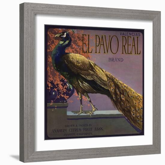 El Pavo Real Brand - Anaheim, California - Citrus Crate Label-Lantern Press-Framed Art Print