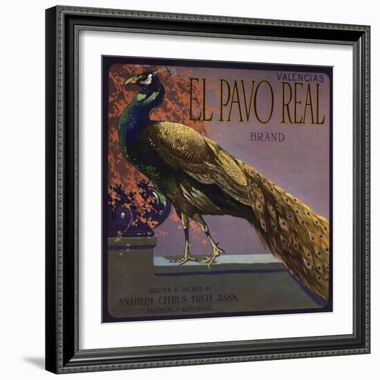 El Pavo Real Brand - Anaheim, California - Citrus Crate Label-Lantern Press-Framed Art Print