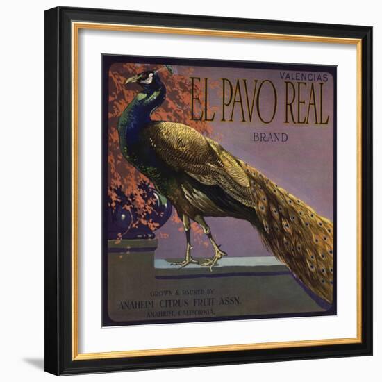 El Pavo Real Brand - Anaheim, California - Citrus Crate Label-Lantern Press-Framed Art Print