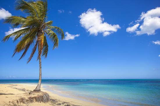 El Portillo Beach Las Terrenas Samana Peninsula Dominican Republic