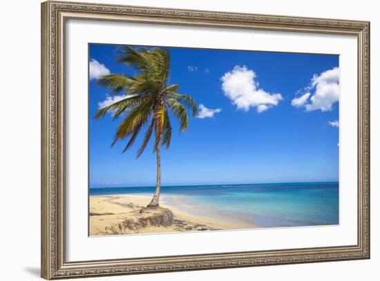 El Portillo Beach, Las Terrenas, Samana Peninsula, Dominican Republic, West Indies, Caribbean-Jane Sweeney-Framed Photographic Print