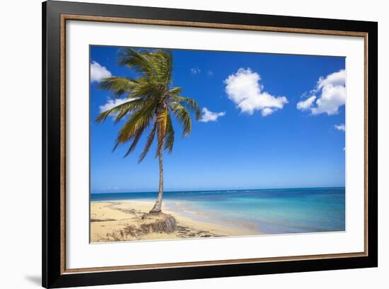 El Portillo Beach, Las Terrenas, Samana Peninsula, Dominican Republic, West Indies, Caribbean-Jane Sweeney-Framed Photographic Print