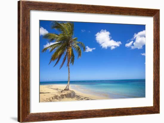 El Portillo Beach, Las Terrenas, Samana Peninsula, Dominican Republic, West Indies, Caribbean-Jane Sweeney-Framed Photographic Print