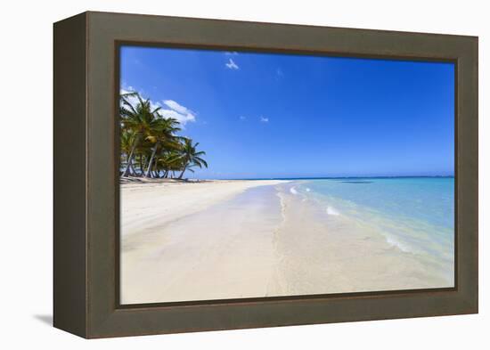 El Portillo Beach, Las Terrenas, Samana Peninsula, Dominican Republic, West Indies, Caribbean-Jane Sweeney-Framed Premier Image Canvas