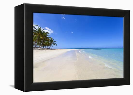 El Portillo Beach, Las Terrenas, Samana Peninsula, Dominican Republic, West Indies, Caribbean-Jane Sweeney-Framed Premier Image Canvas