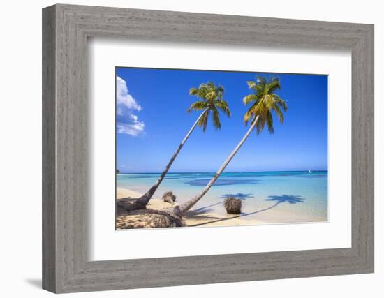 El Portillo Beach, Las Terrenas, Samana Peninsula, Dominican Republic, West Indies, Caribbean-Jane Sweeney-Framed Photographic Print