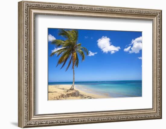 El Portillo Beach, Las Terrenas, Samana Peninsula, Dominican Republic, West Indies, Caribbean-Jane Sweeney-Framed Photographic Print