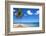 El Portillo Beach, Las Terrenas, Samana Peninsula, Dominican Republic, West Indies, Caribbean-Jane Sweeney-Framed Photographic Print