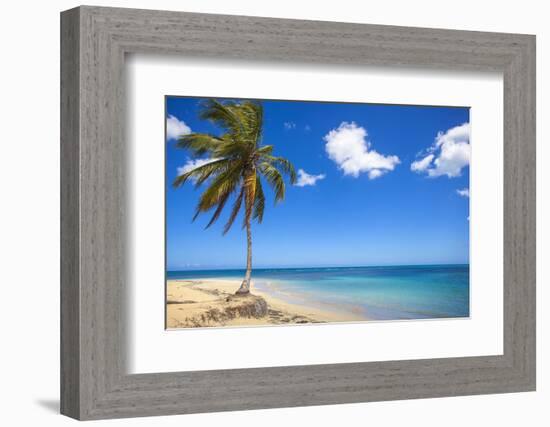 El Portillo Beach, Las Terrenas, Samana Peninsula, Dominican Republic, West Indies, Caribbean-Jane Sweeney-Framed Photographic Print