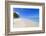 El Portillo Beach, Las Terrenas, Samana Peninsula, Dominican Republic, West Indies, Caribbean-Jane Sweeney-Framed Photographic Print