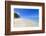 El Portillo Beach, Las Terrenas, Samana Peninsula, Dominican Republic, West Indies, Caribbean-Jane Sweeney-Framed Photographic Print