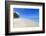 El Portillo Beach, Las Terrenas, Samana Peninsula, Dominican Republic, West Indies, Caribbean-Jane Sweeney-Framed Photographic Print