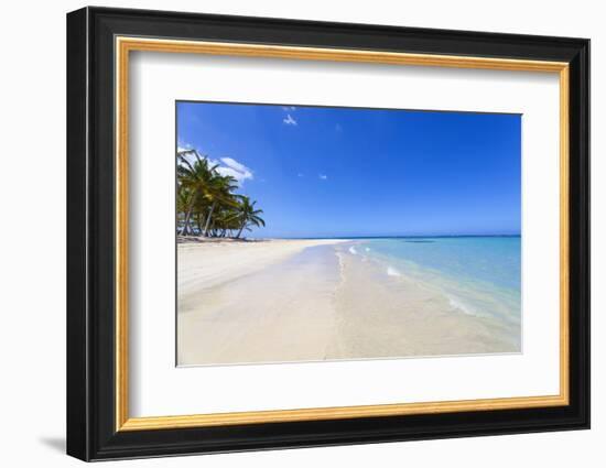 El Portillo Beach, Las Terrenas, Samana Peninsula, Dominican Republic, West Indies, Caribbean-Jane Sweeney-Framed Photographic Print