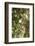 El Rosario Monarch Butterfly Reserve, Michoacan, Angangueilo, Mexico-Howie Garber-Framed Photographic Print