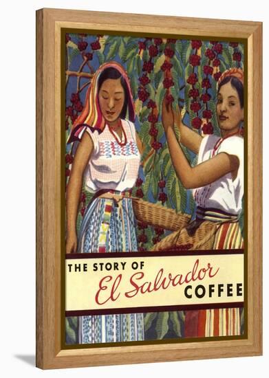 El Salvador Coffee, Pickers-null-Framed Stretched Canvas