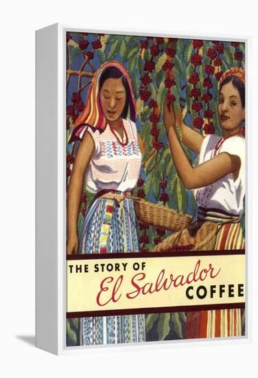 El Salvador Coffee, Pickers-null-Framed Stretched Canvas