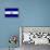 El Salvador Flag Design with Wood Patterning - Flags of the World Series-Philippe Hugonnard-Framed Stretched Canvas displayed on a wall