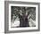 El Tule Tree, the Worlds Largest Tree By Circumference, Oaxaca State, Mexico, North America-Christian Kober-Framed Photographic Print