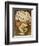 El Vendedora De Alcatraces-Diego Rivera-Framed Art Print